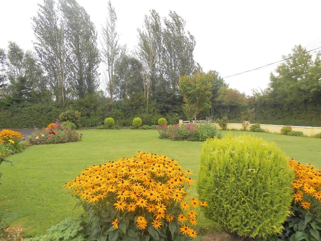 Gallows View Bed & Breakfast Бунратти Номер фото